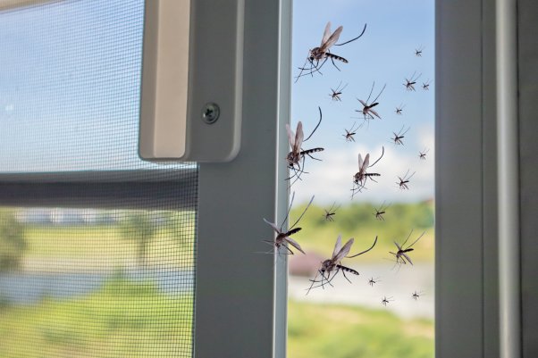 Védekezés szúnyoghálóval a malária ellen