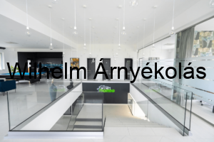 Smart Home motor, amely csendes és hatékony működést biztosít, kizárólag a Wilhelm Árnyékolástól.