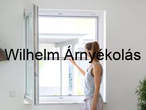 Német minőségű szúnyogháló felszerelve egy modern ablakra, biztosítva a tartósságot és hatékony rovarvédelmet.