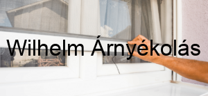 Redőny beépített szúnyoghálóval egy modern ablakon, kombinálva az árnyékolást és a rovarvédelmet.